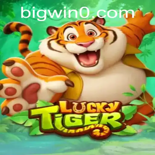 bigwin Casino App