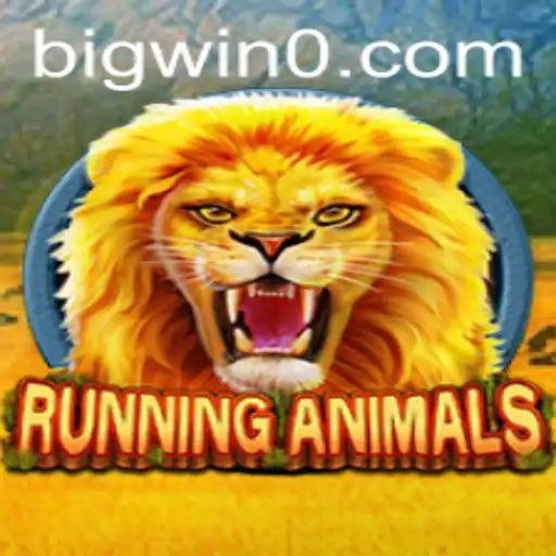 bigwin Casino App
