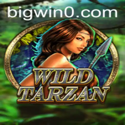 bigwin Casino App